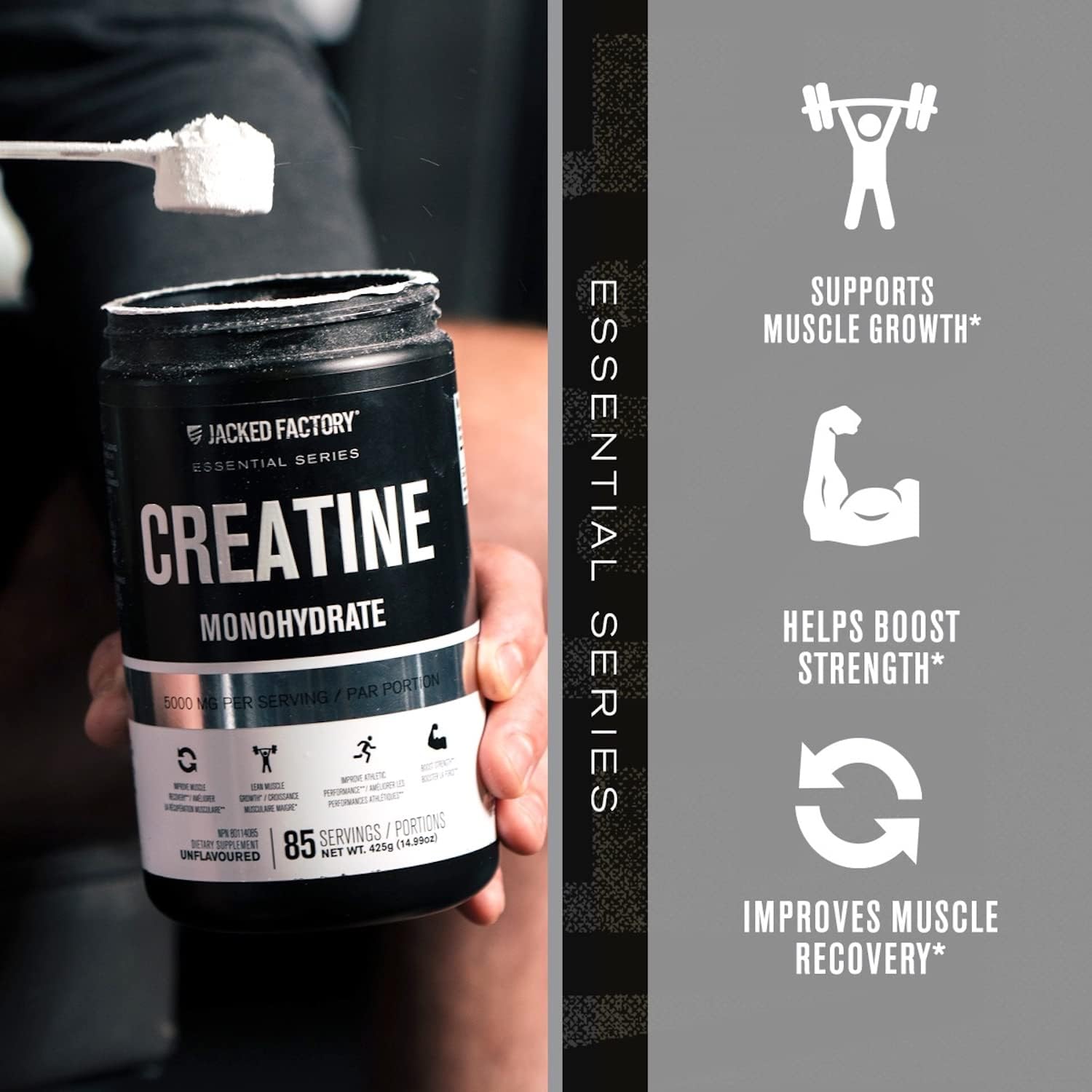 Jacked Factory Creatine Monohydrate Powder 425G - Creatine Supplement for Muscle Growth, Increased Strength, Enhanced Energy Output and Improved Athletic Performance by  - 85 Servings, Unflavored