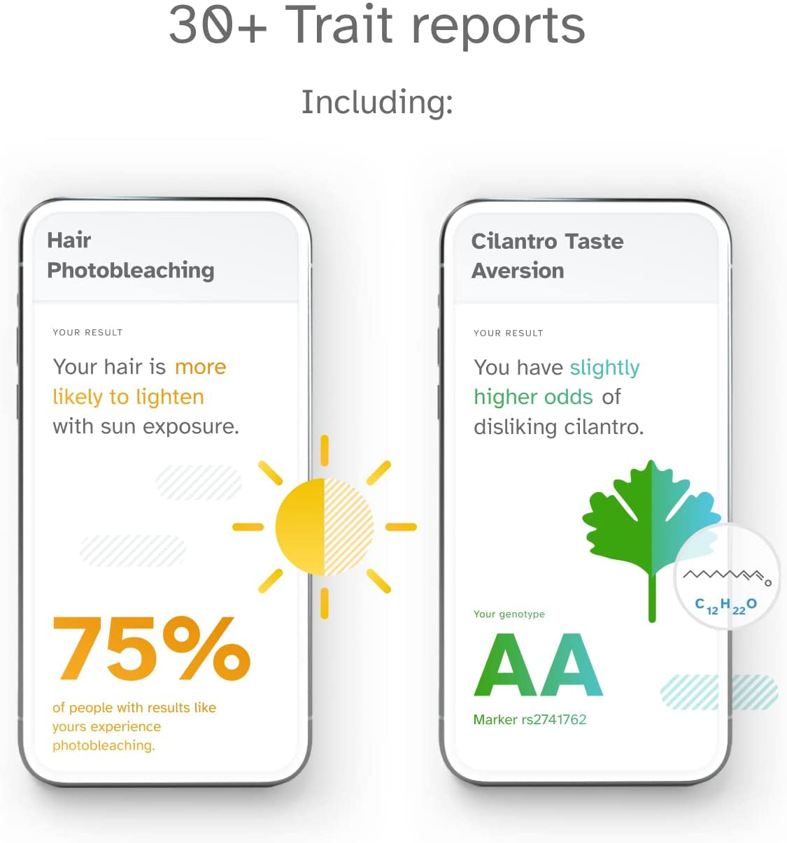 Ancestry Service - DNA Test Kit with Personalized Genetic Reports Including Ancestry Composition with 2750+ Geographic Regions, Family Tree, DNA Relative Finder and Trait Reports