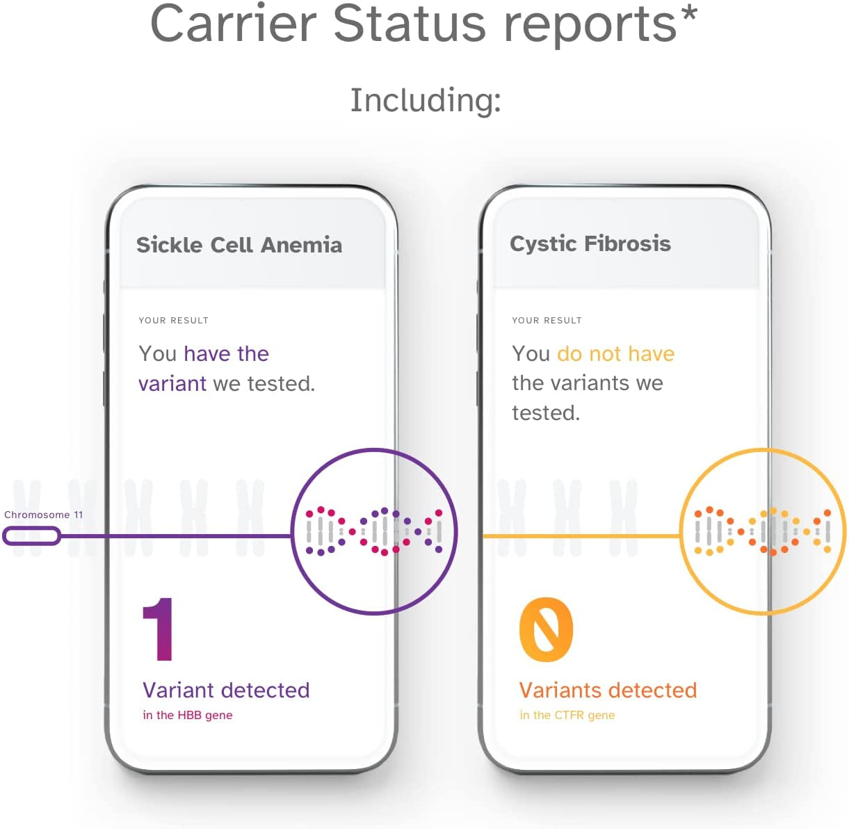 Health + Ancestry Service - DNA Testing with Personalized Genetic Reports like Health Predispositions, Carrier Status, Wellness and Trait Reports (Before You Buy See Important Test Info Below)