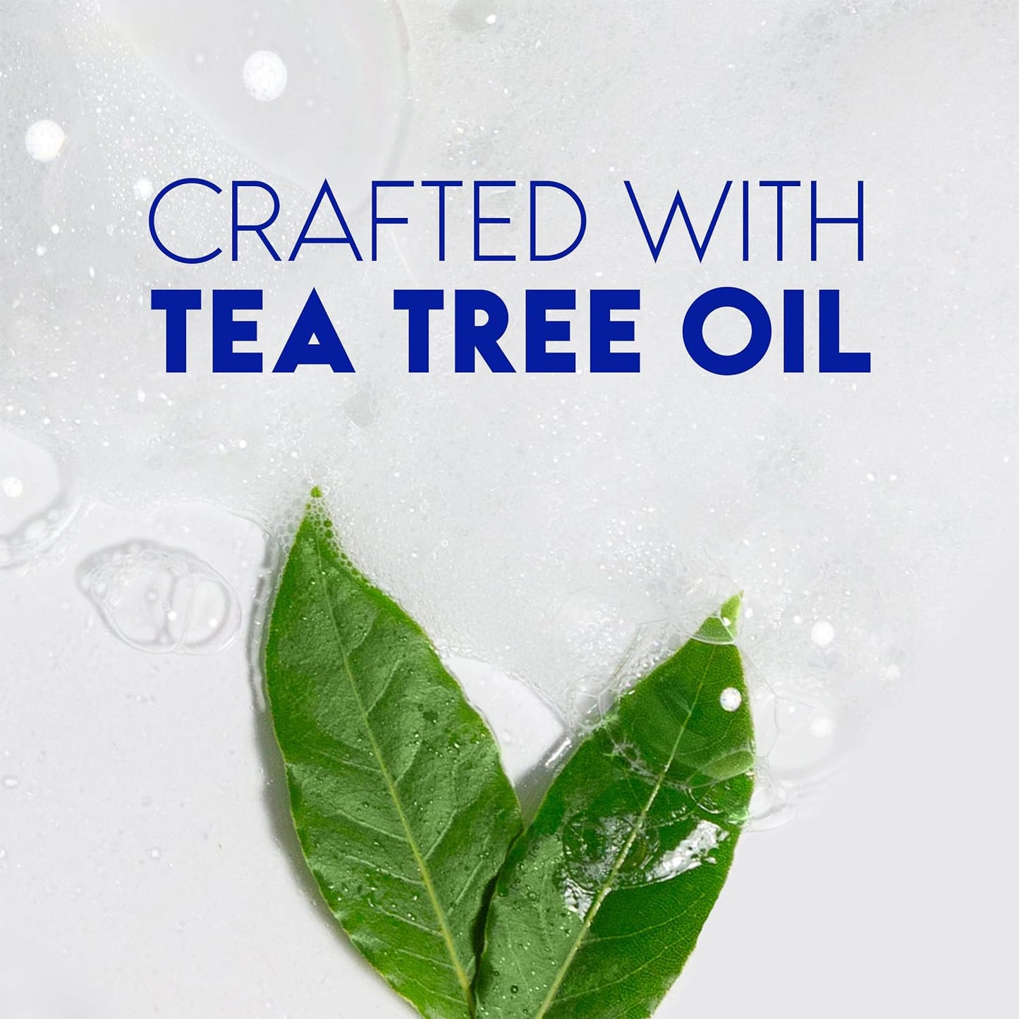 Head & Shoulders Tea Tree Oil Shampoo (370 ml).