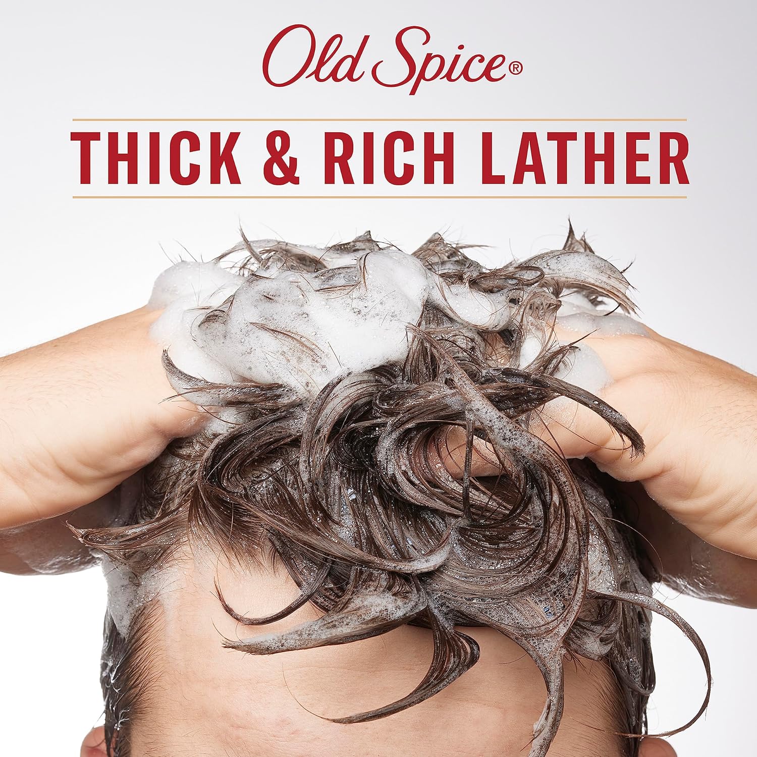 Old Spice Fiji 2In1 Shampoo and Conditioner for Men (650 ml).